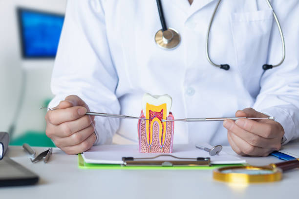 Best Emergency Dentist for Lost Fillings or Crowns in Bargaintown, NJ